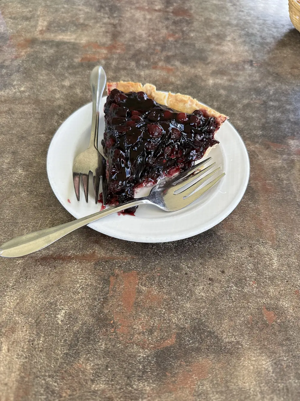 Saskatoon berry pie in Spruce Woods Provincial Park, Manitoba