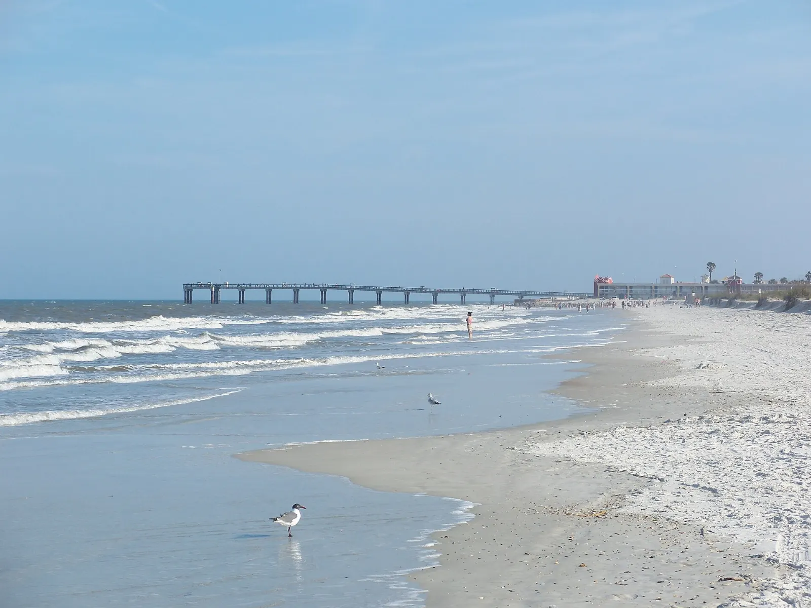 Wide sandy beach and dunes along the Atlantic at Anastasia State Park, St. Augustine, Florida