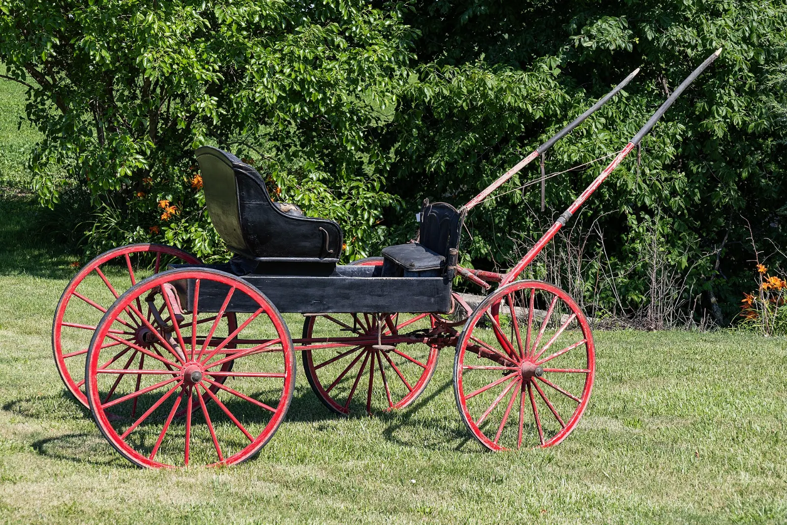 An Old Order Mennonite horse and buggy on a rural road near St. Jacobs, Ontario
