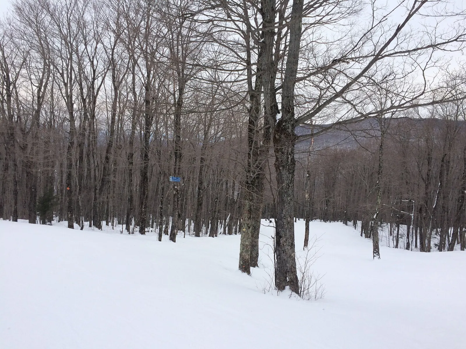 Trails and chairlift on Mont Sutton, Quebec