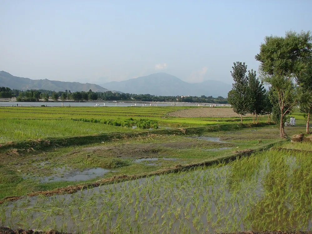 Saidu Sharif, Swat Valley, Pakistan