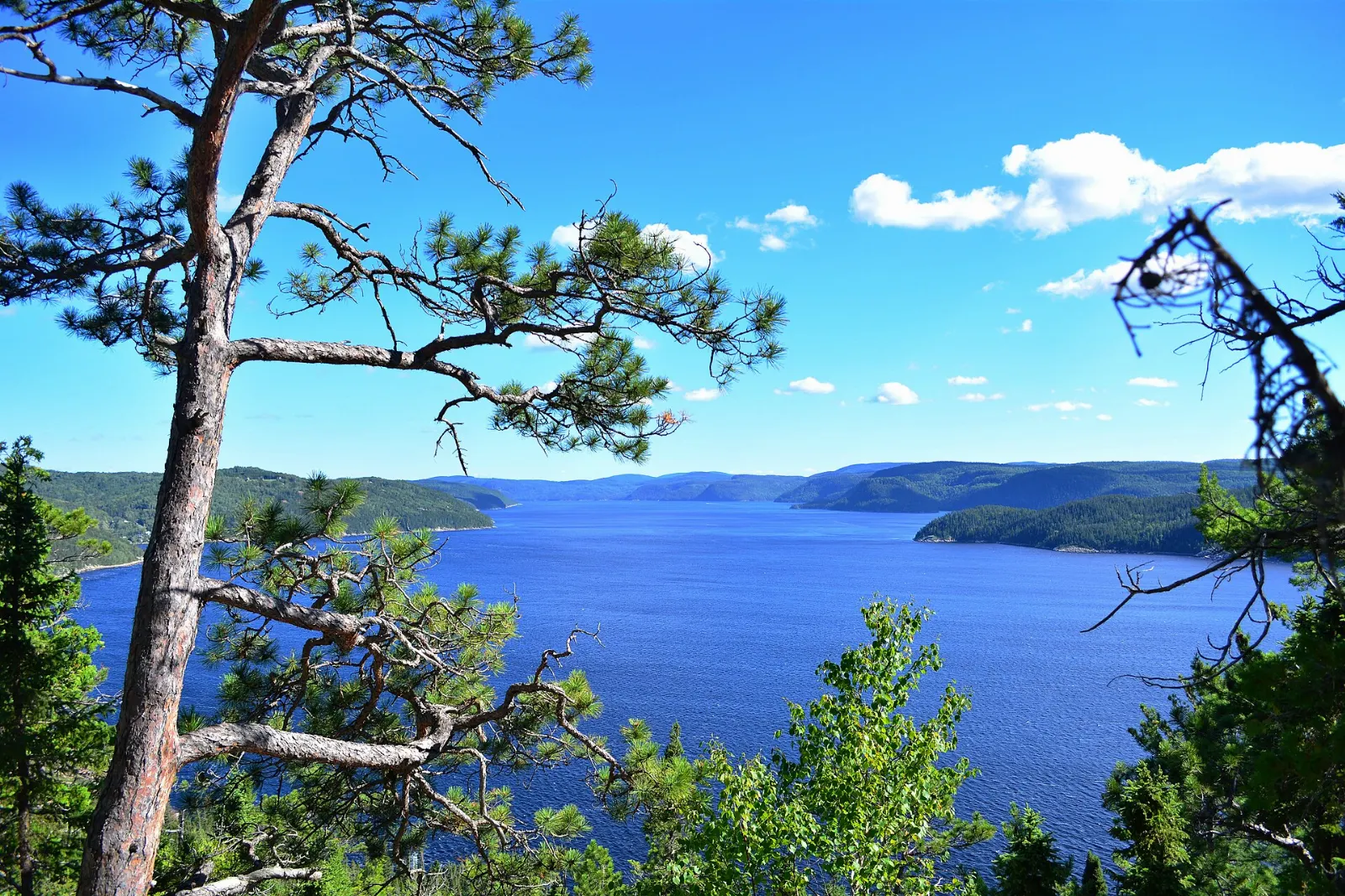 Steep forested cliffs along the Saguenay Fjord, Tadoussac, Quebec