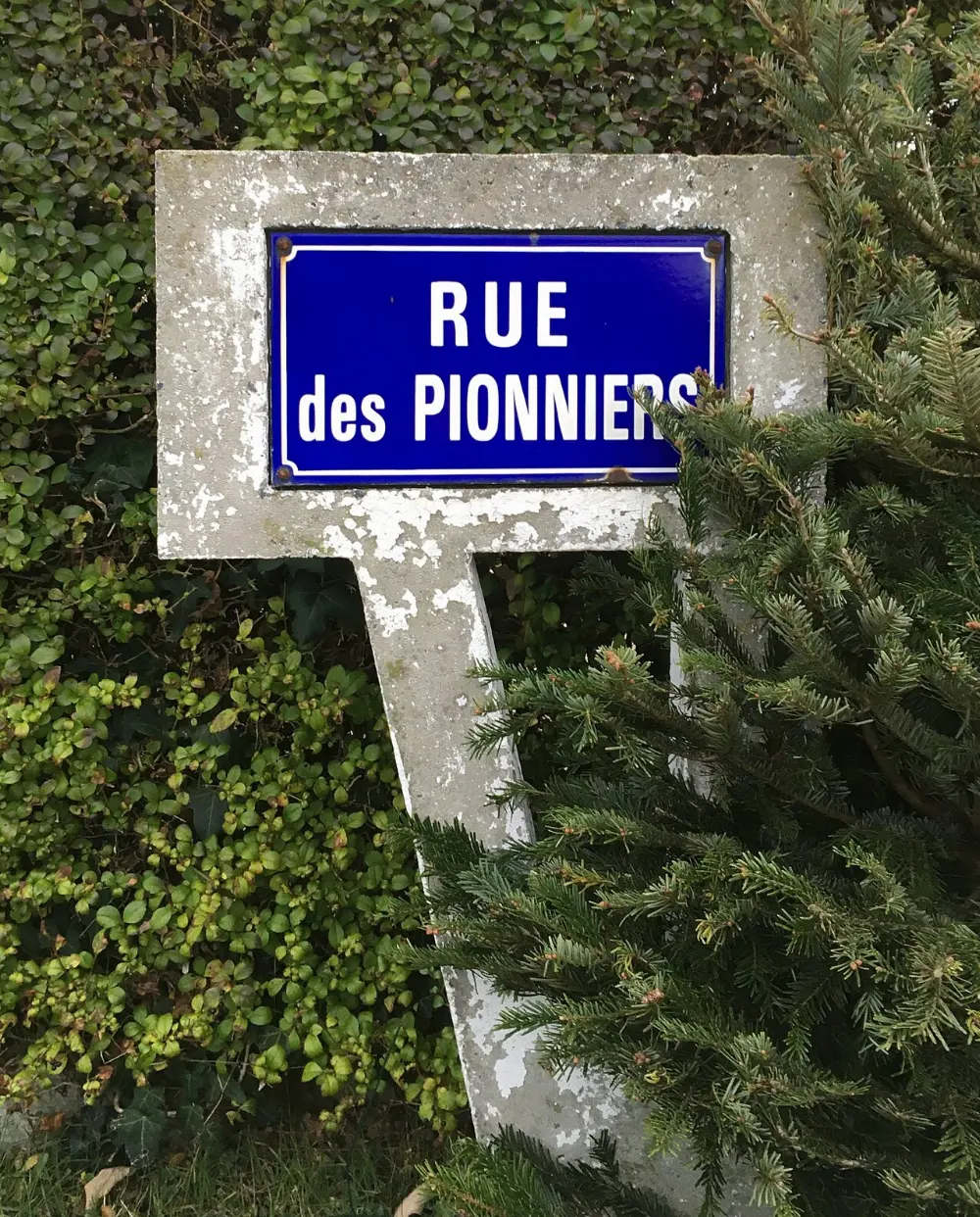 Rue des Pionniers, Tadoussac, Quebec