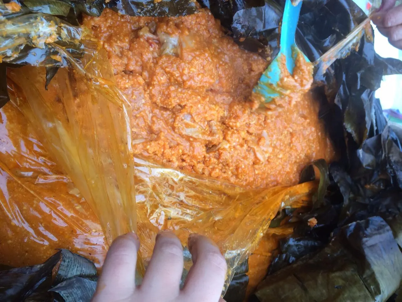 Large zacahuil tamale opened from banana leaves, Tamasopo, San Luis Potosí
