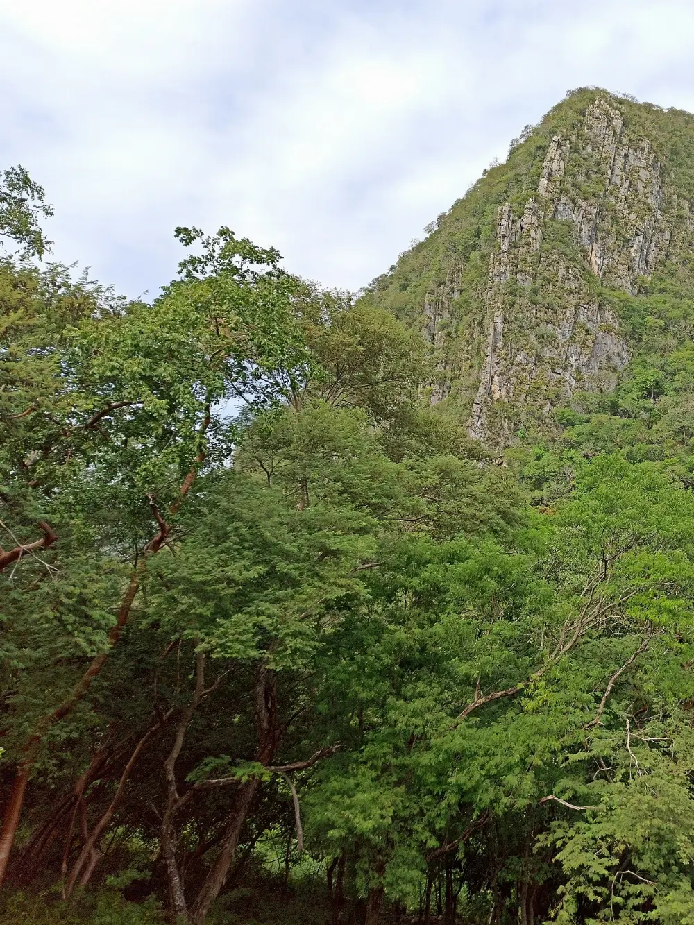 Ciudad Valles, Tamasopo, San Luis Potosí