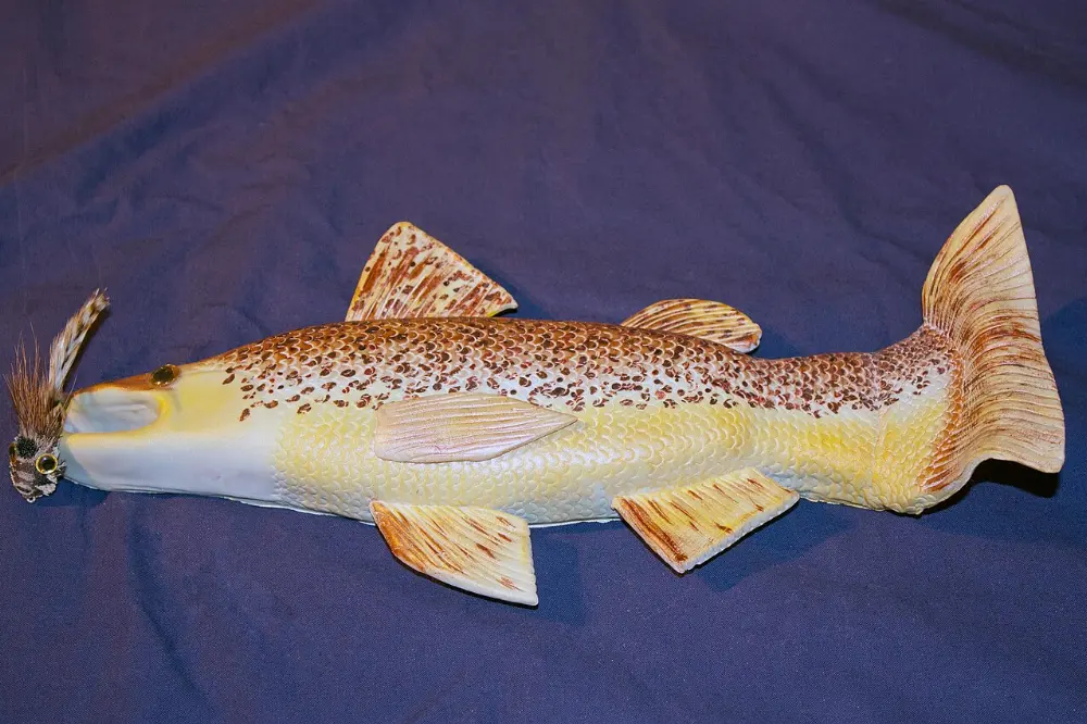 Lake trout in Temagami, Ontario