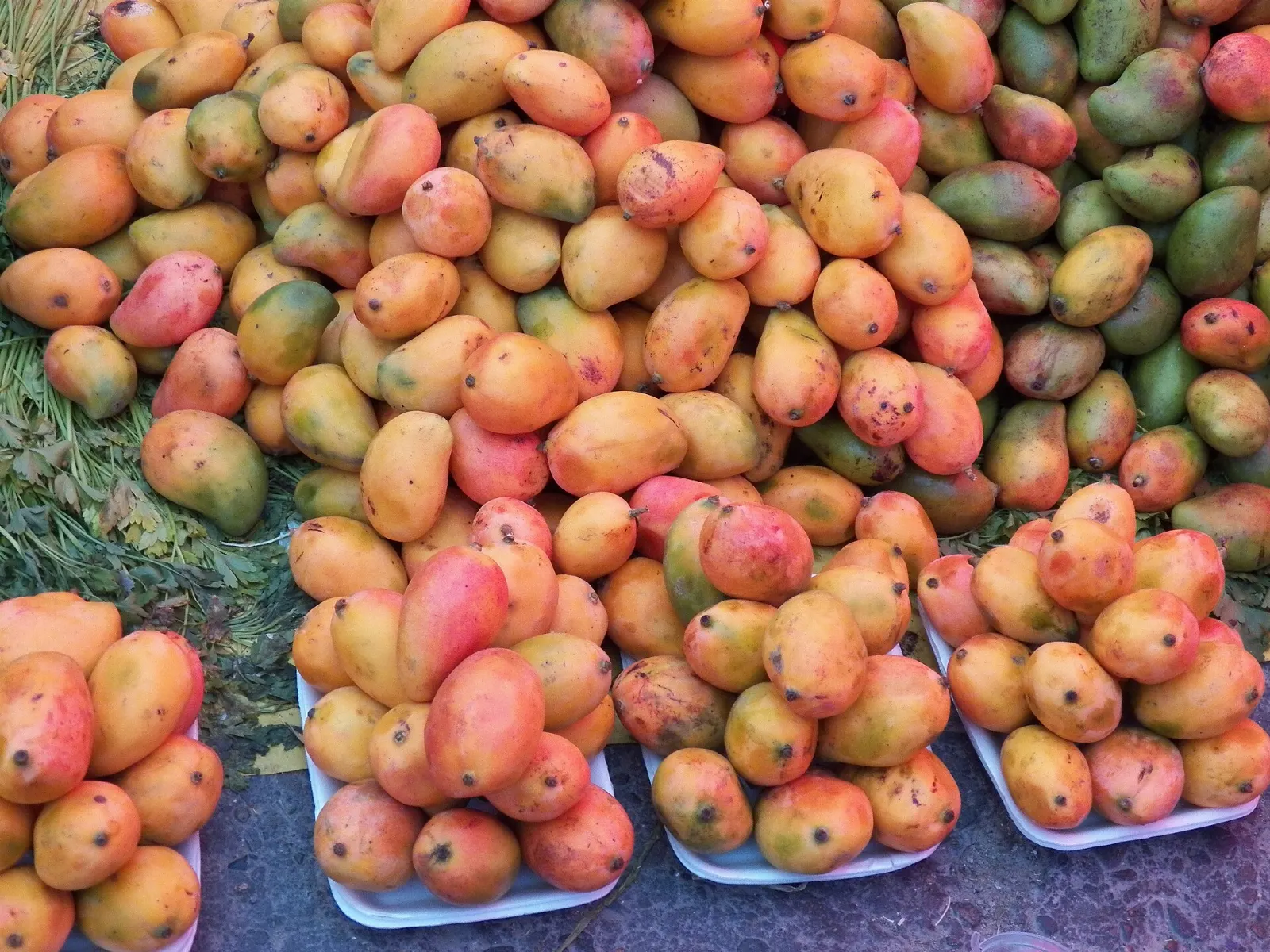 Busy stalls at the Sunday market in Tlacolula de Matamoros, Teotitlán del Valle, Oaxaca