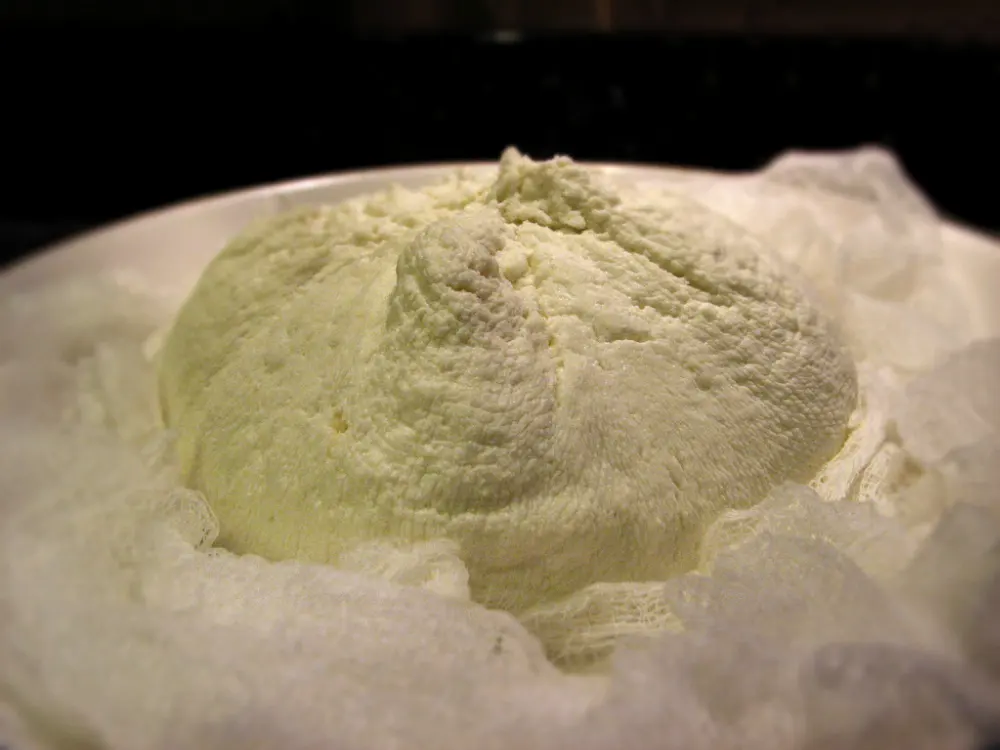 Queso fresco in Tequisquiapan, Querétaro