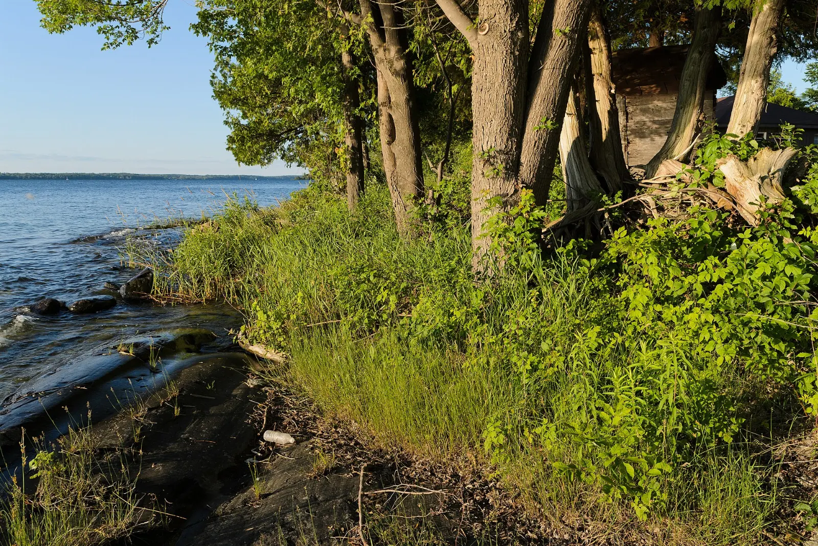 Rural landscape on Wolfe Island near Kingston, Thousand Islands, Ontario