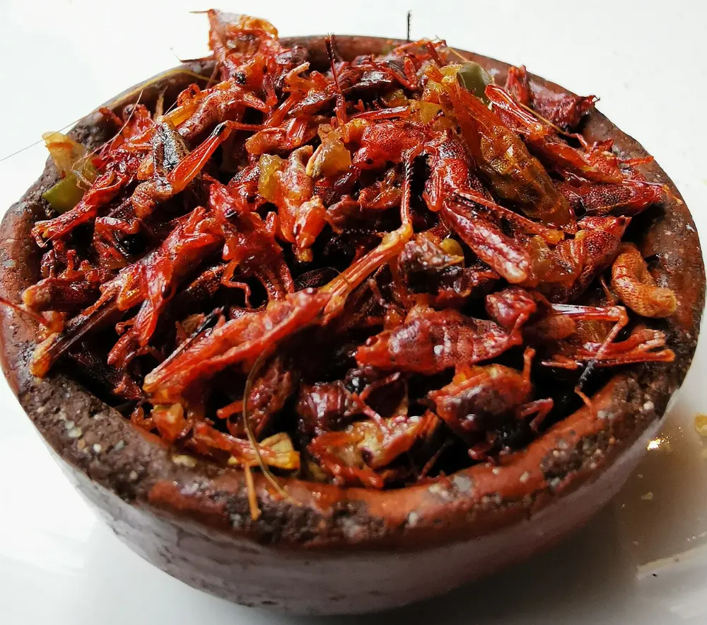 Chapulines in Tlayacapan, Morelos