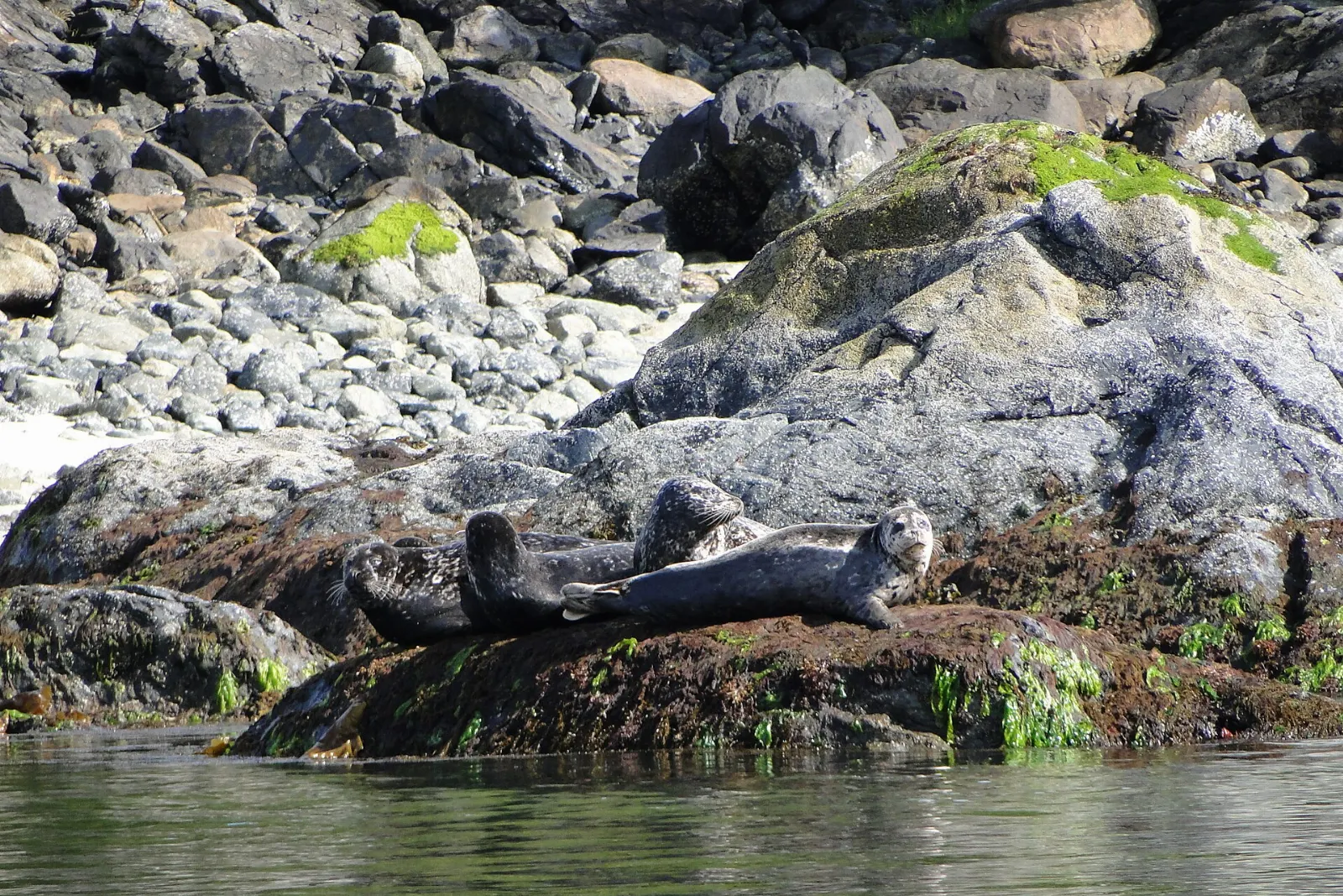 Tofino, British Columbia, Canada