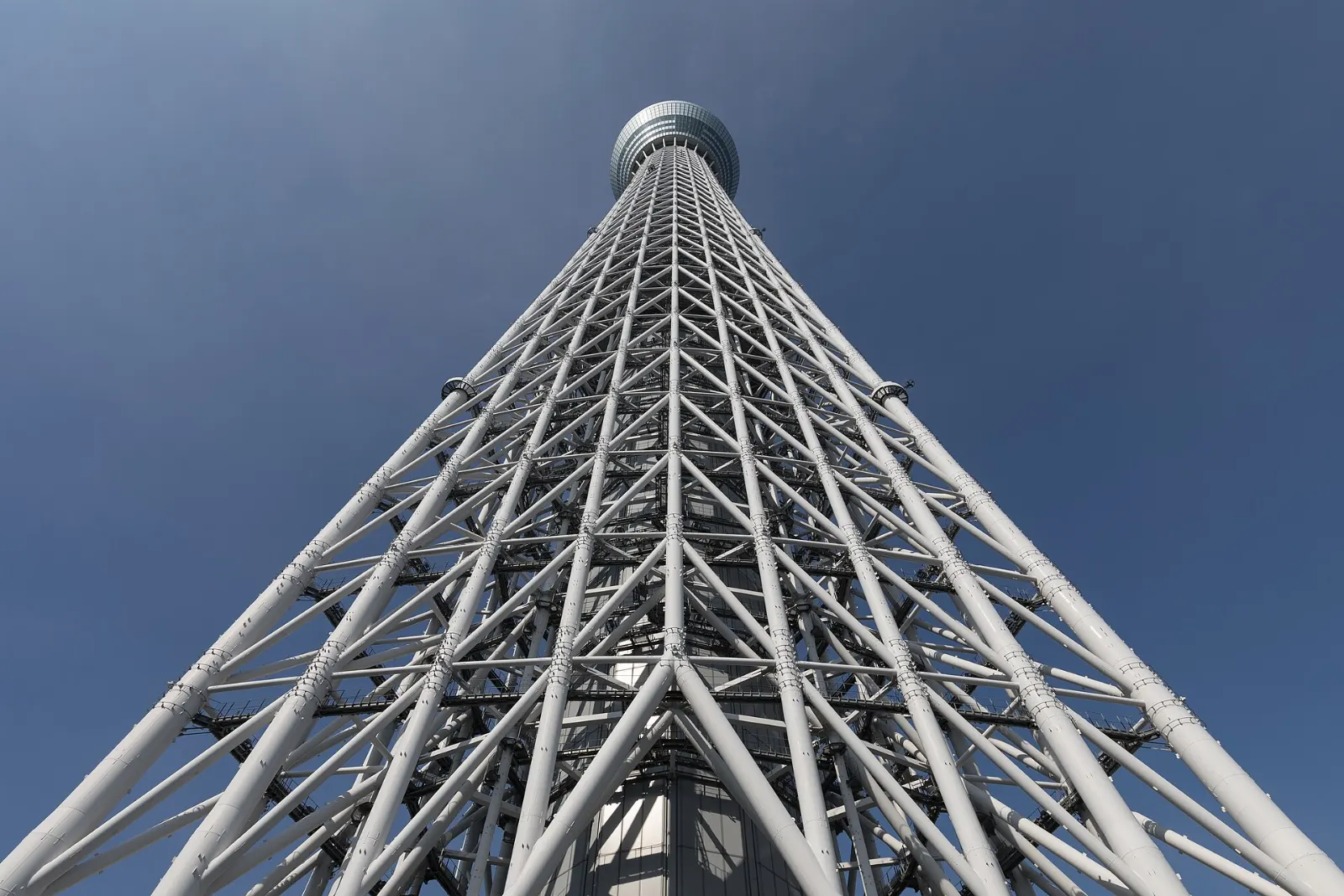 Tall white lattice broadcasting tower rising over low-rise neighborhoods, Tokyo, Japan