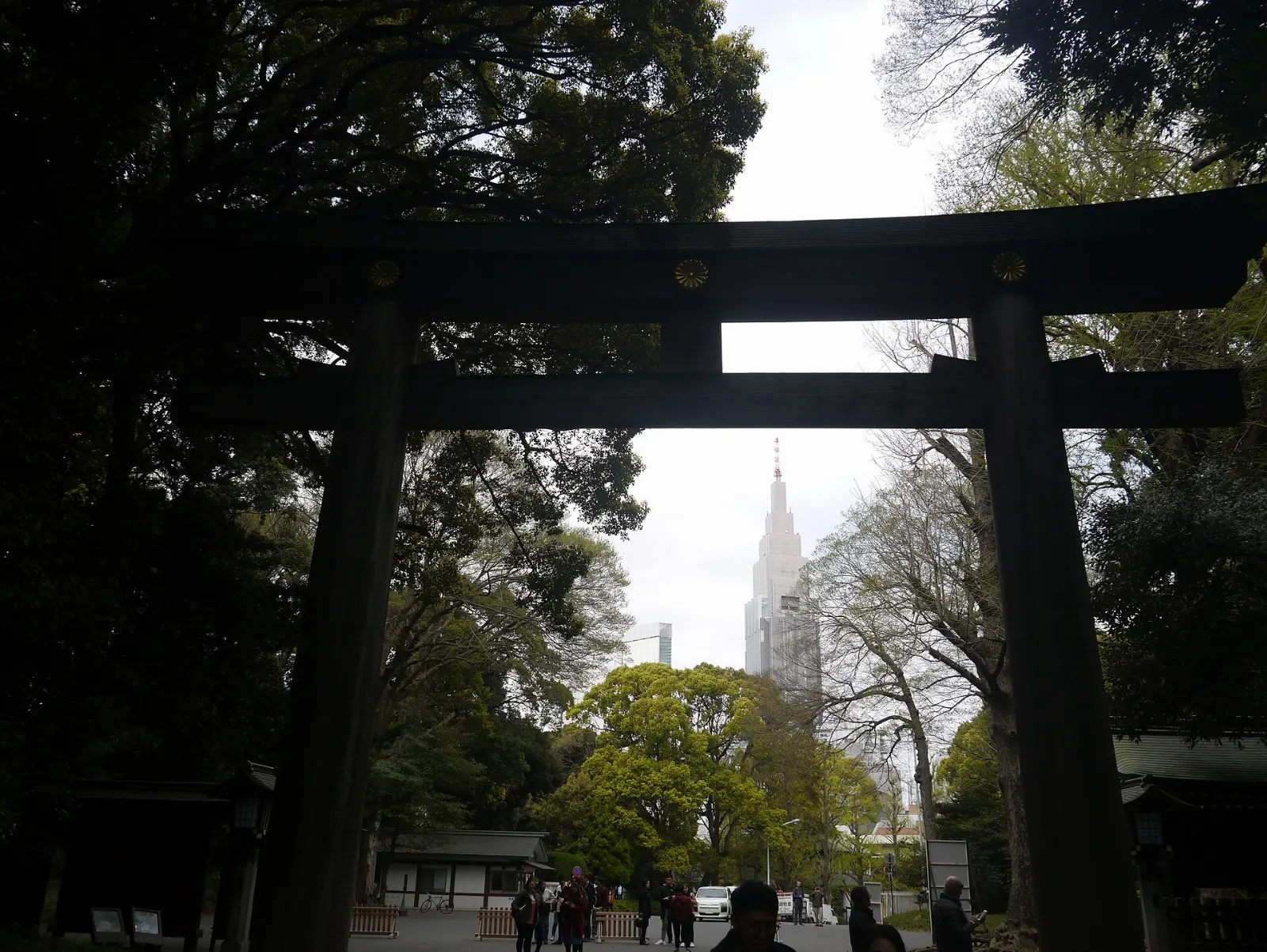 Large wooden torii gate on a forested gravel path, Tokyo, Japan