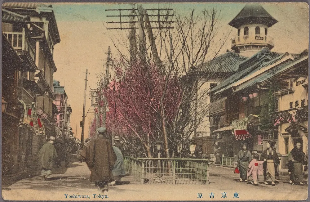 Tokyo old town, Tokyo, Japan