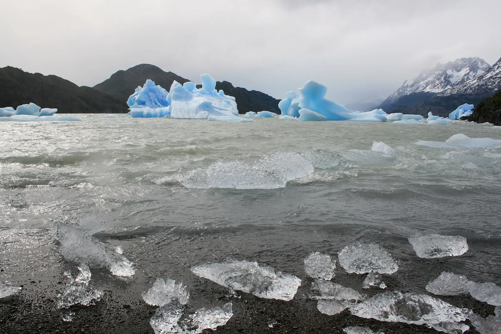 Blue-white face of a glacier meeting a grey lake, Torres del Paine, Chile
