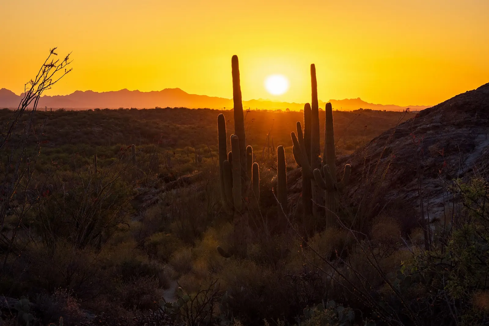 Tucson