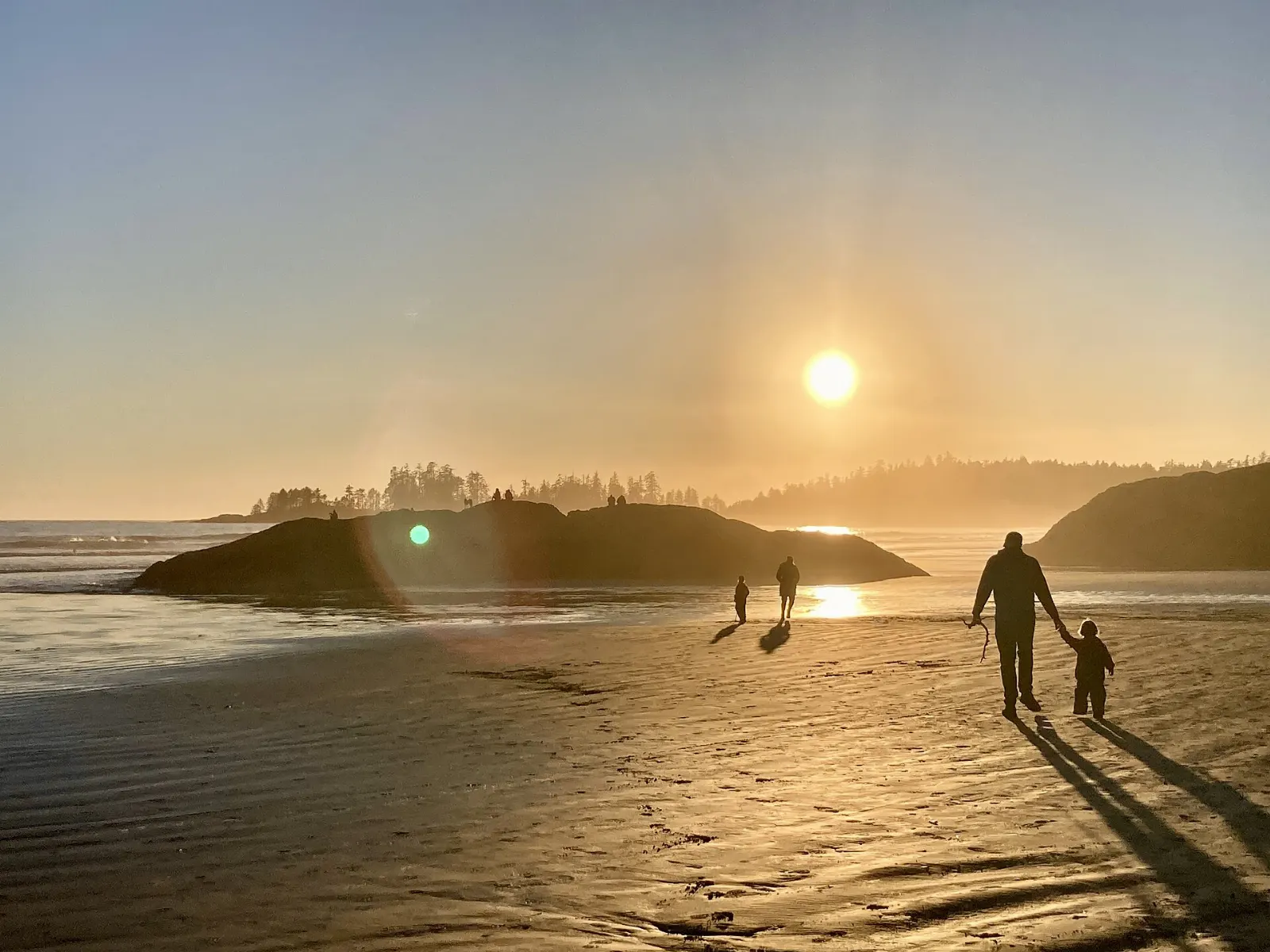 Ucluelet Bear Watching, Ucluelet, British Columbia, Canada