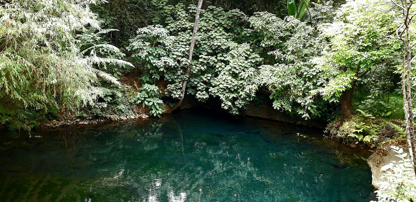 Waterfall and spring in the Cupatitzio national park near the Rodilla del Diablo, Uruapan, Michoacán