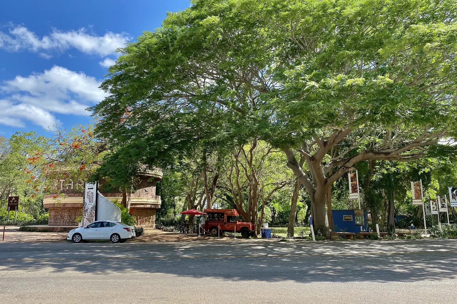 Cacao pods and traditional chocolate making at Choco-Story near Uxmal, Yucatán