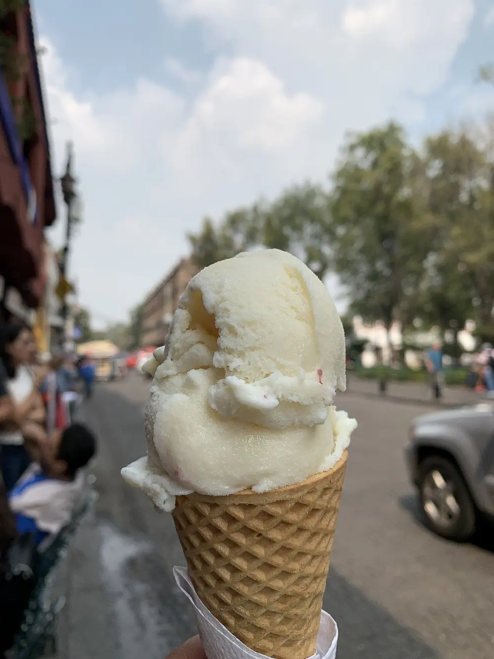 Mamey ice cream in Valle de Bravo, State of Mexico