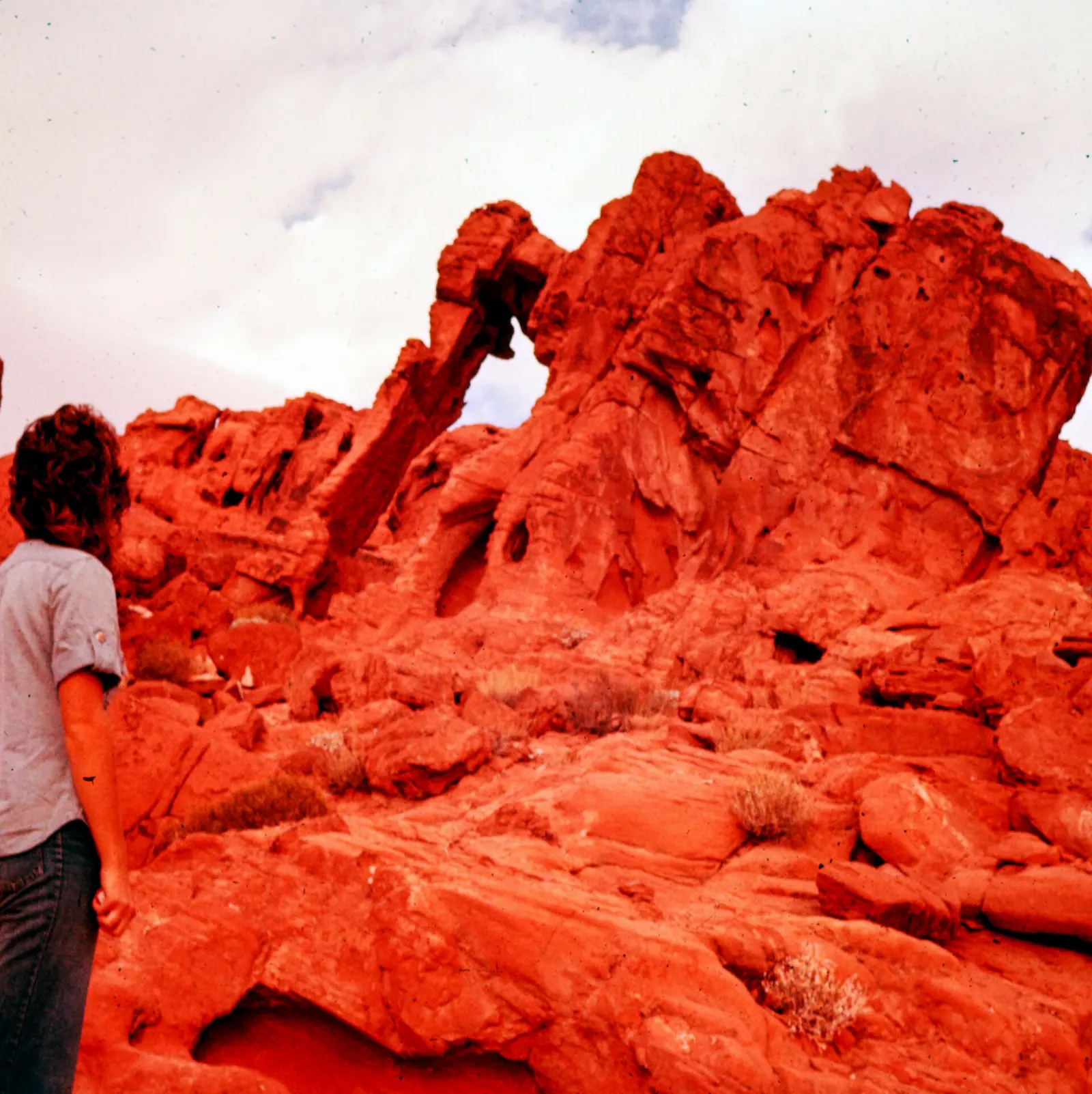 A red sandstone arch shaped like an elephant with its trunk touching the ground, Valley of Fire State Park, Nevada