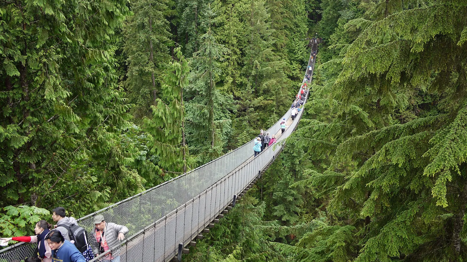 The Capilano Suspension Bridge spanning a forested canyon, Vancouver, Canada