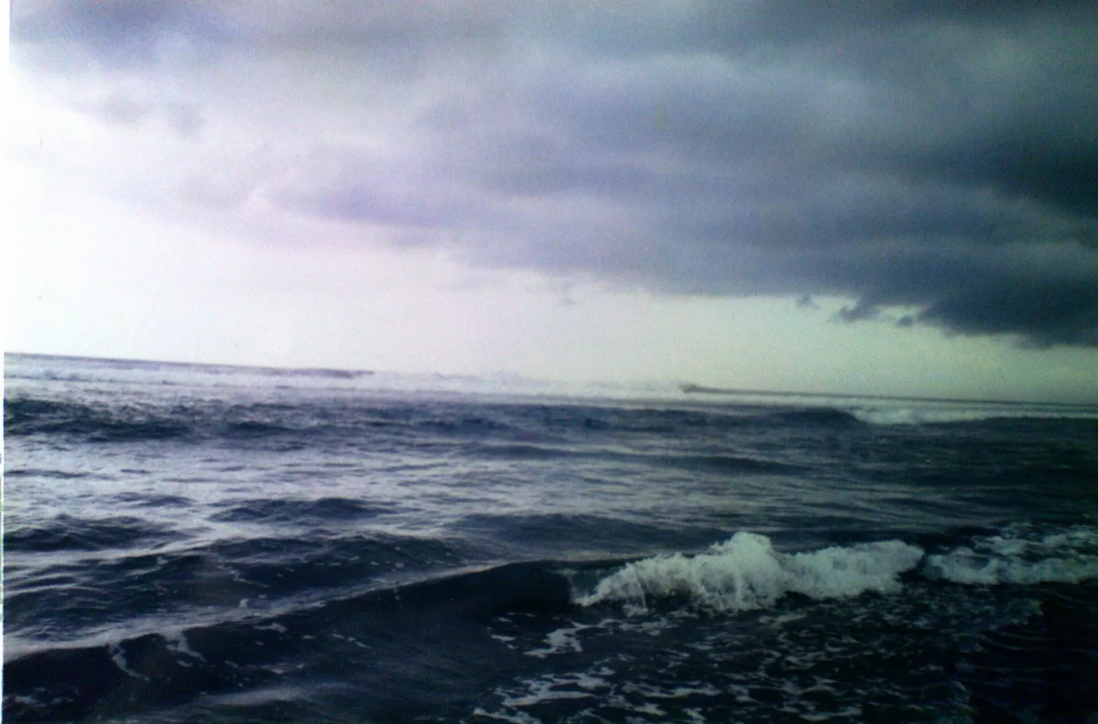 Coral reef off the coast of Veracruz