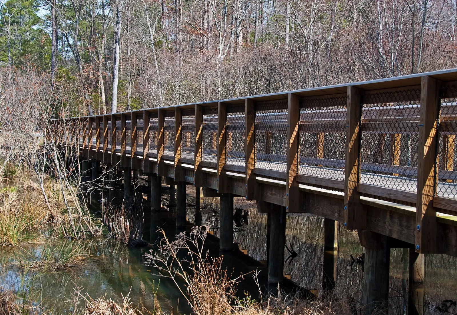 Paved greenway along the Neuse River, Wake Forest, North Carolina