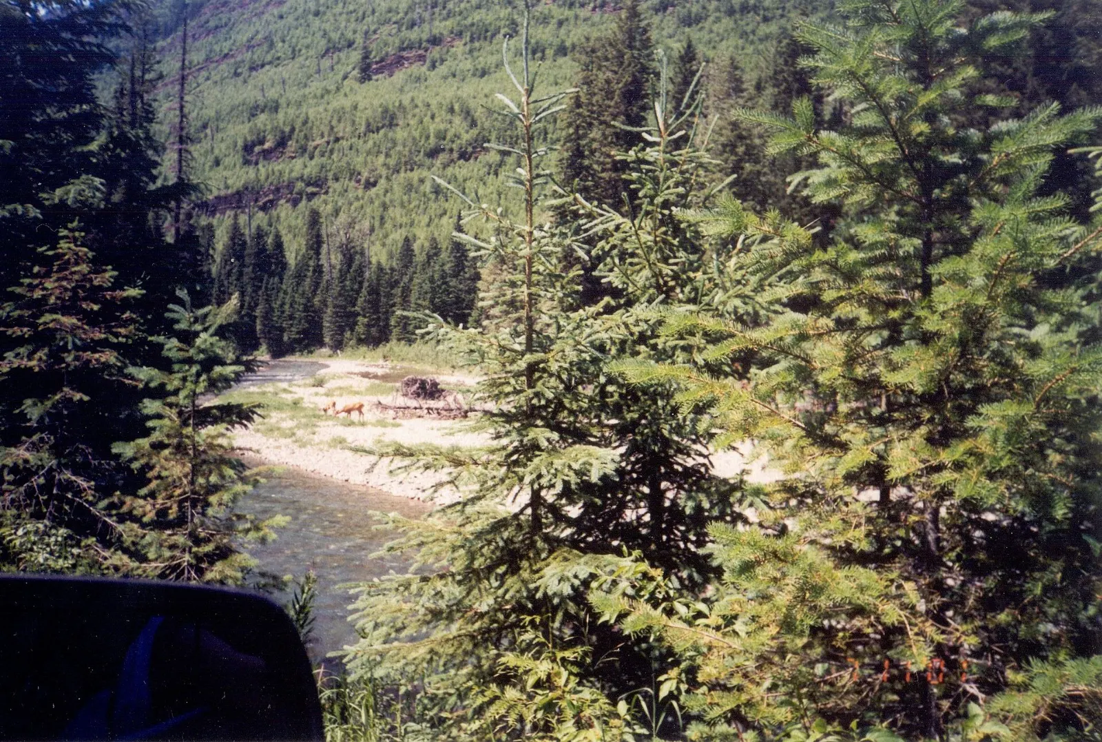 Cameron Lake, Waterton Lakes National Park, Alberta, Canada