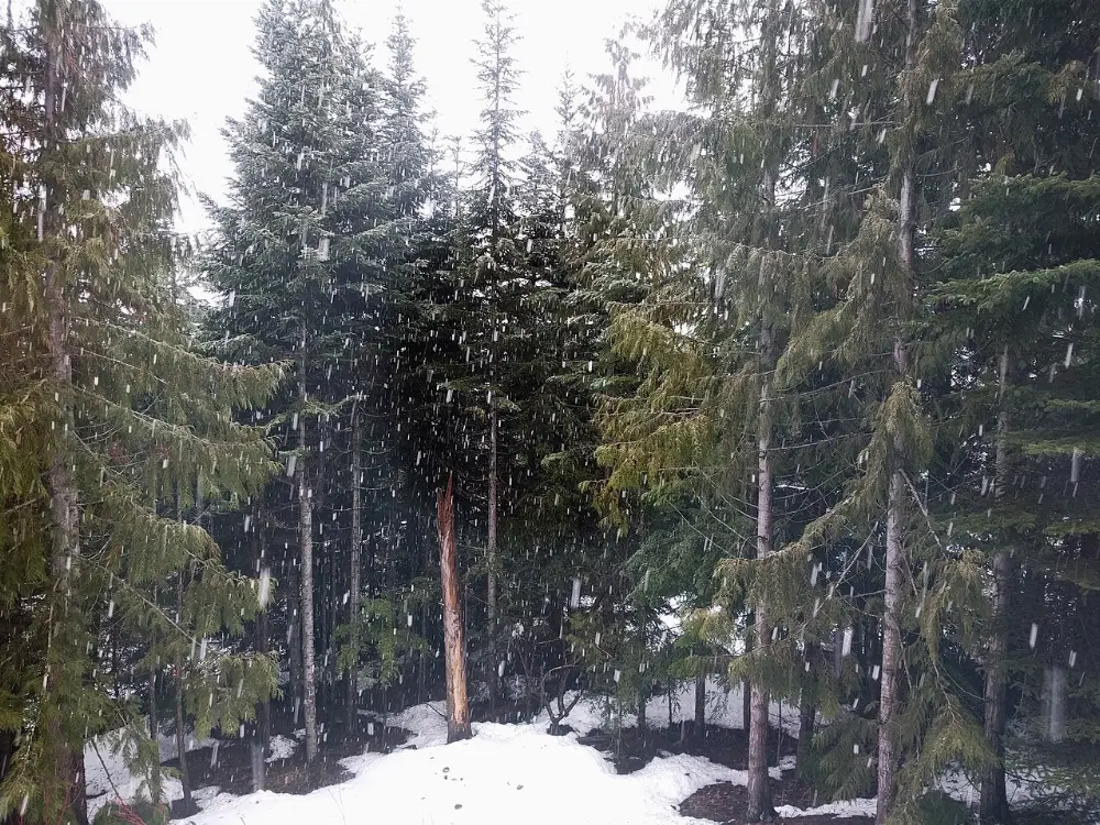 Upper Village, Whistler, British Columbia