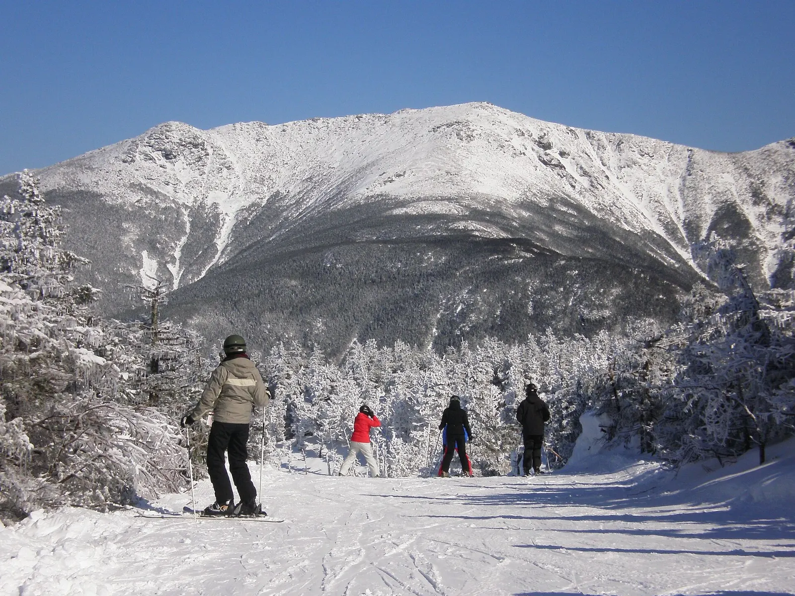 A red aerial tram car climbing above the forest toward the summit of Cannon Mountain, White Mountains, New Hampshire