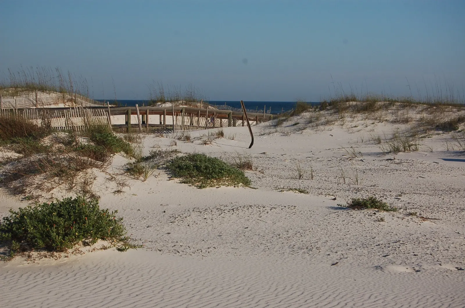 Elevated wooden boardwalk crossing the vegetated flats between white dunes, White Sands National Park, New Mexico