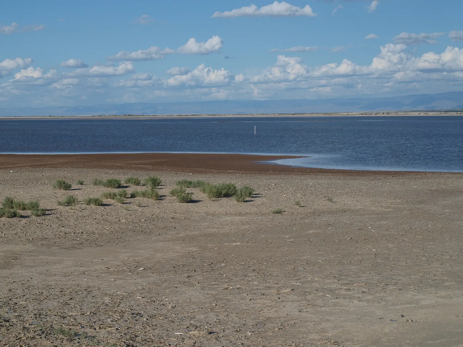 Dry lakebed with selenite crystals at Lake Lucero, White Sands National Park, New Mexico