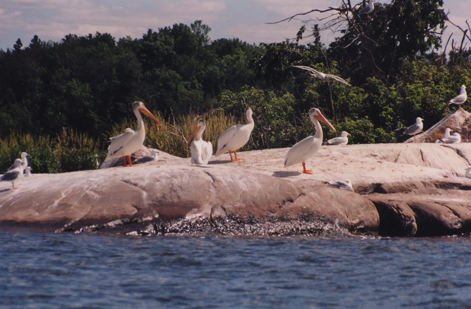 A canoe on Big Whiteshell Lake in Manitoba, Whiteshell Provincial Park, Manitoba