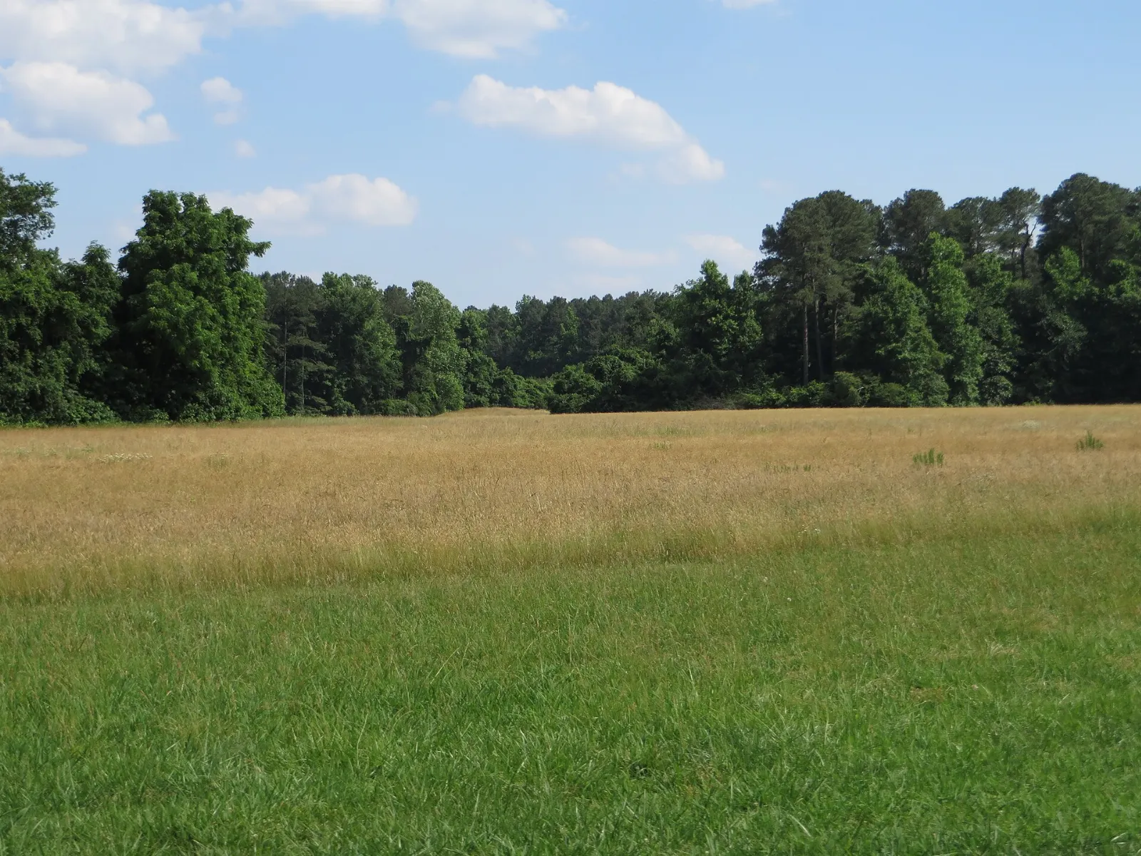 Cannons lined up along earthworks on the open battlefield at Yorktown, Williamsburg, Virginia