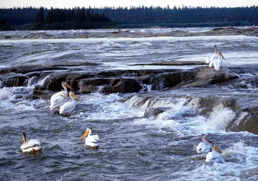 Fort Smith, Wood Buffalo National Park, Alberta