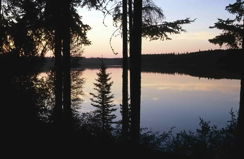 Pine Lake, Wood Buffalo National Park, Alberta