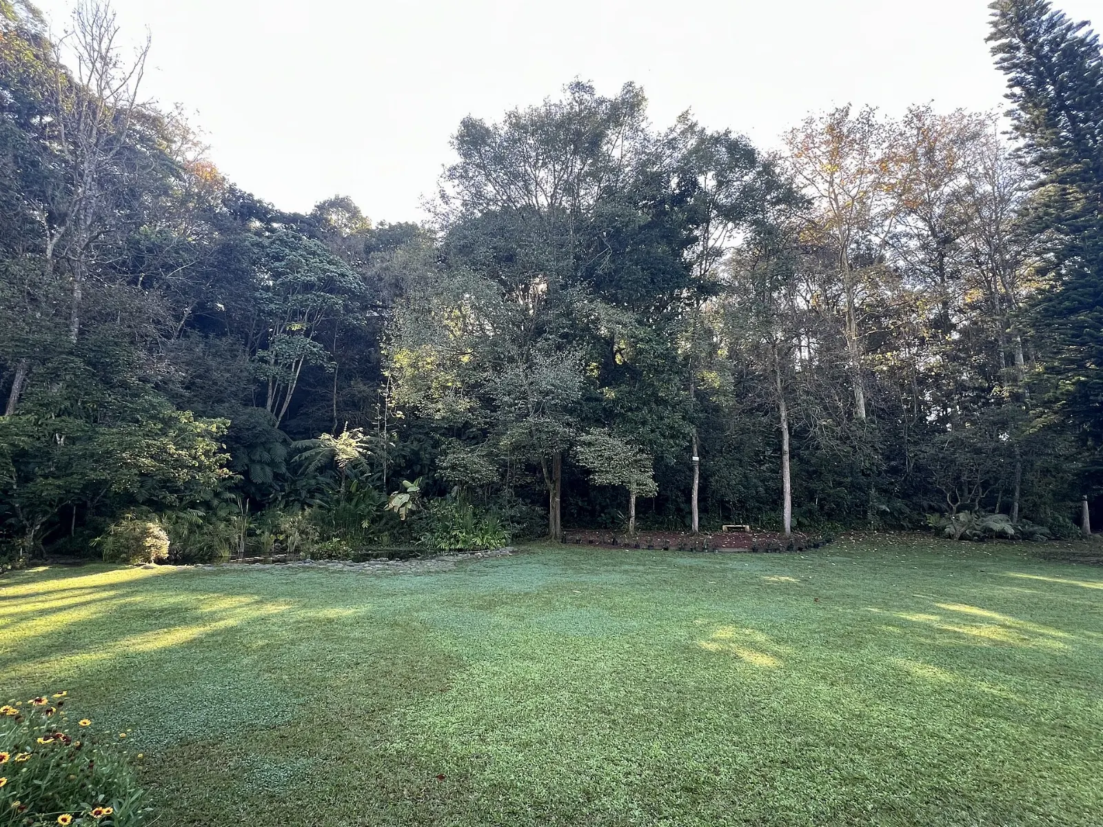 Forest paths in the Clavijero botanical garden near Xalapa, Veracruz