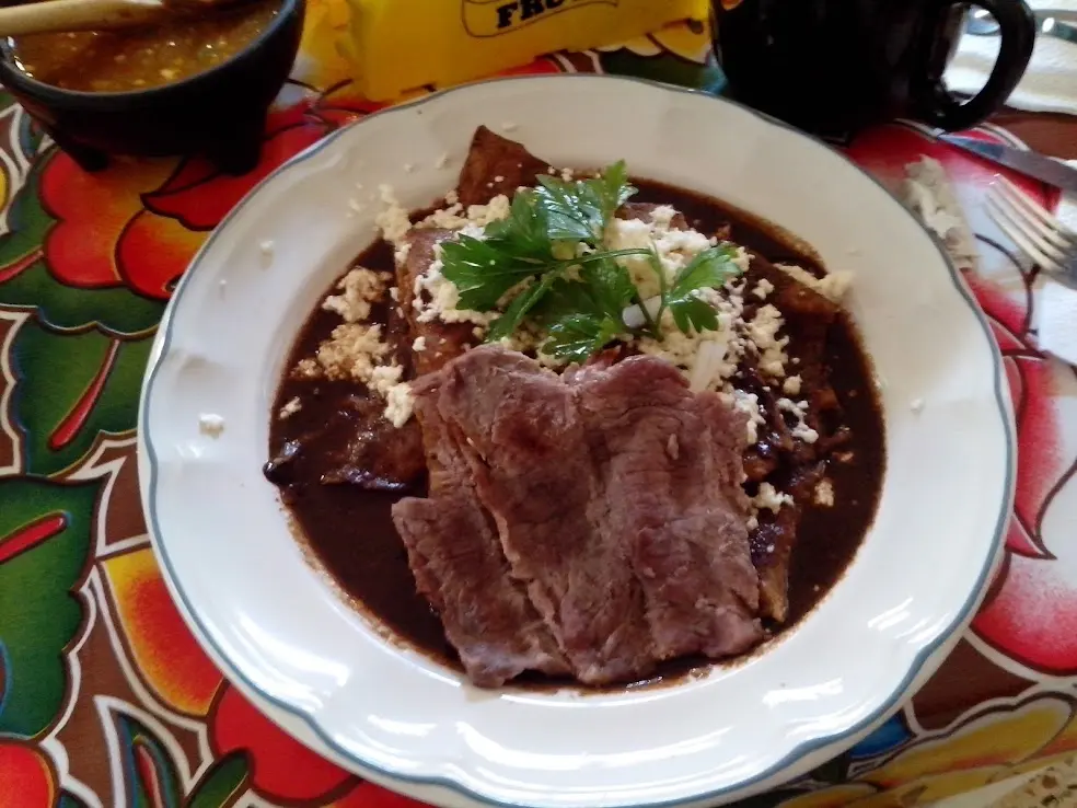 Enfrijoladas in Xalapa, Veracruz