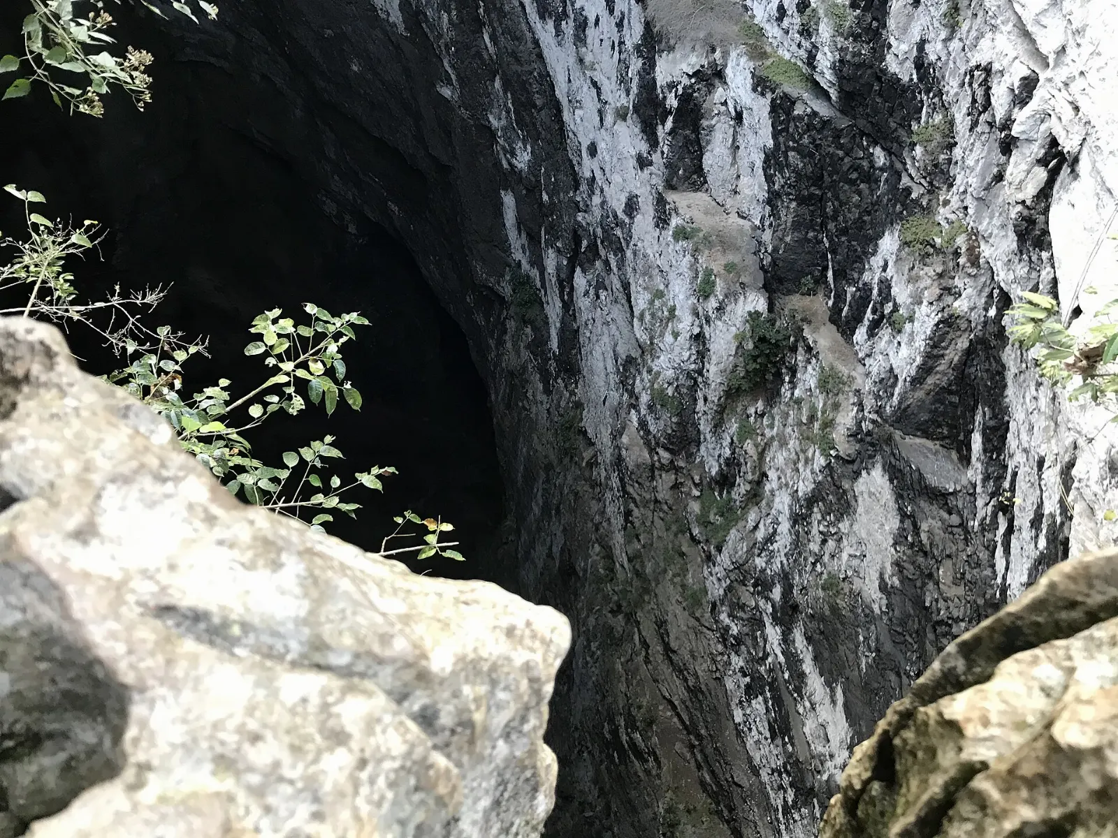 Open-air pit of the Sótano de las Golondrinas, Xilitla, San Luis Potosí