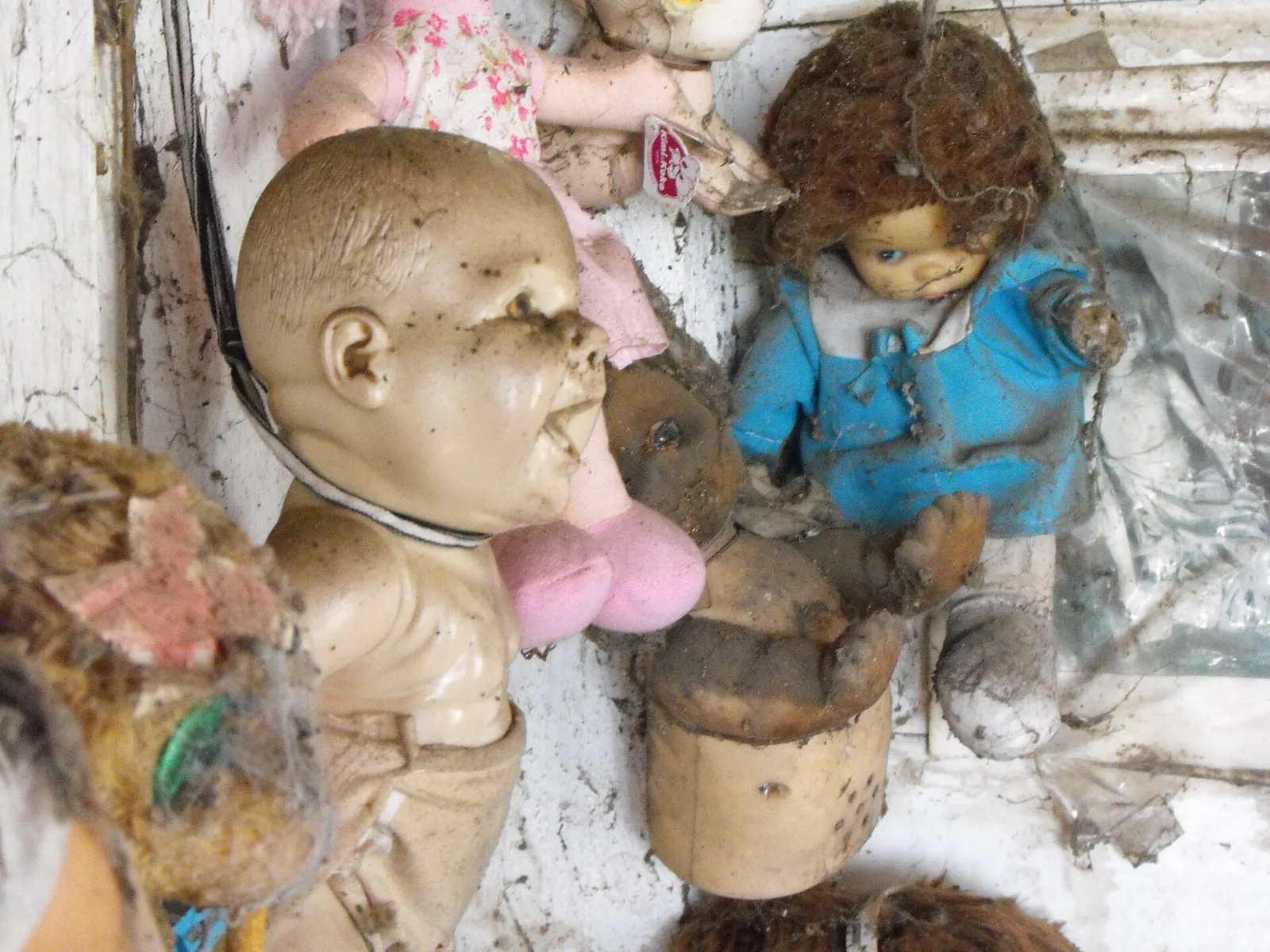 Dolls hanging from trees on the Island of the Dolls, Xochimilco, Mexico City