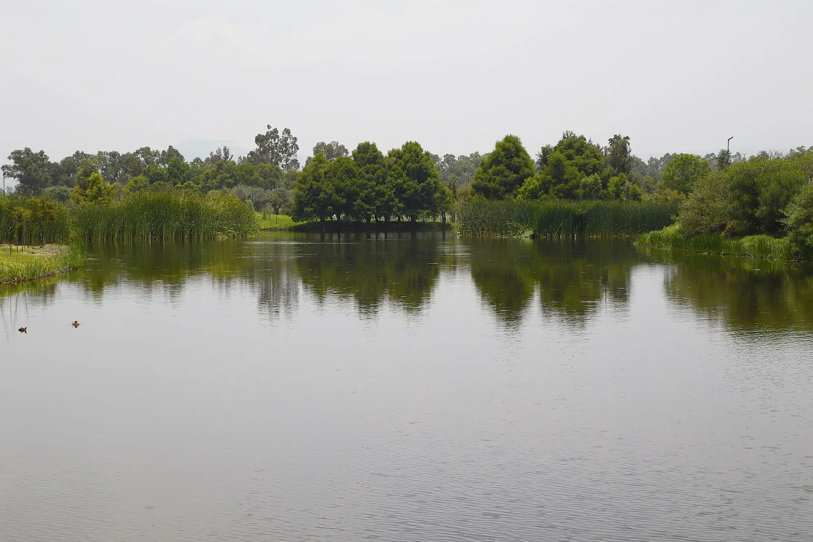 Lake and walkways in the Parque Ecológico de Xochimilco, Mexico City