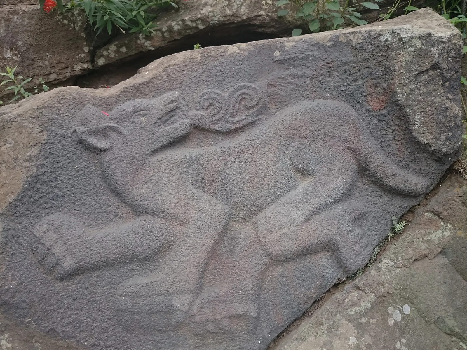 Carved petroglyphs at the Cuahilama archaeological site, Xochimilco, Mexico City