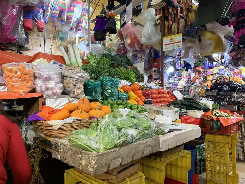 Coyoacán, Xochimilco, Mexico City