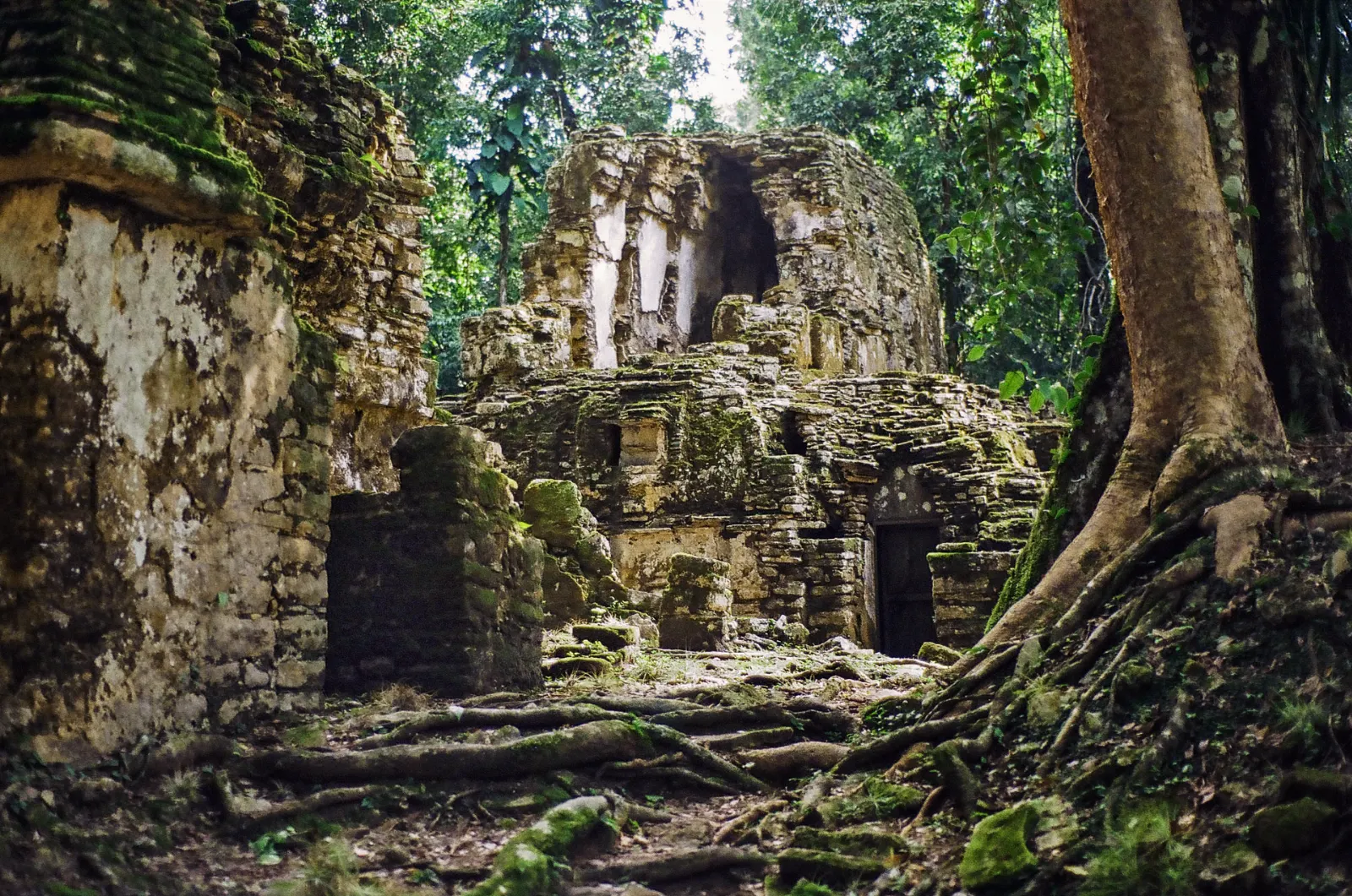 A temple at Yaxchilán with doorways and a perforated roof comb, Chiapas