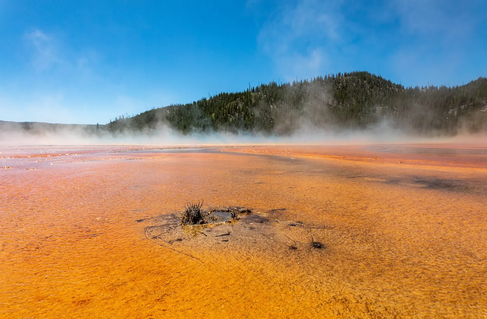 Yellowstone National Park, Wyoming, United States