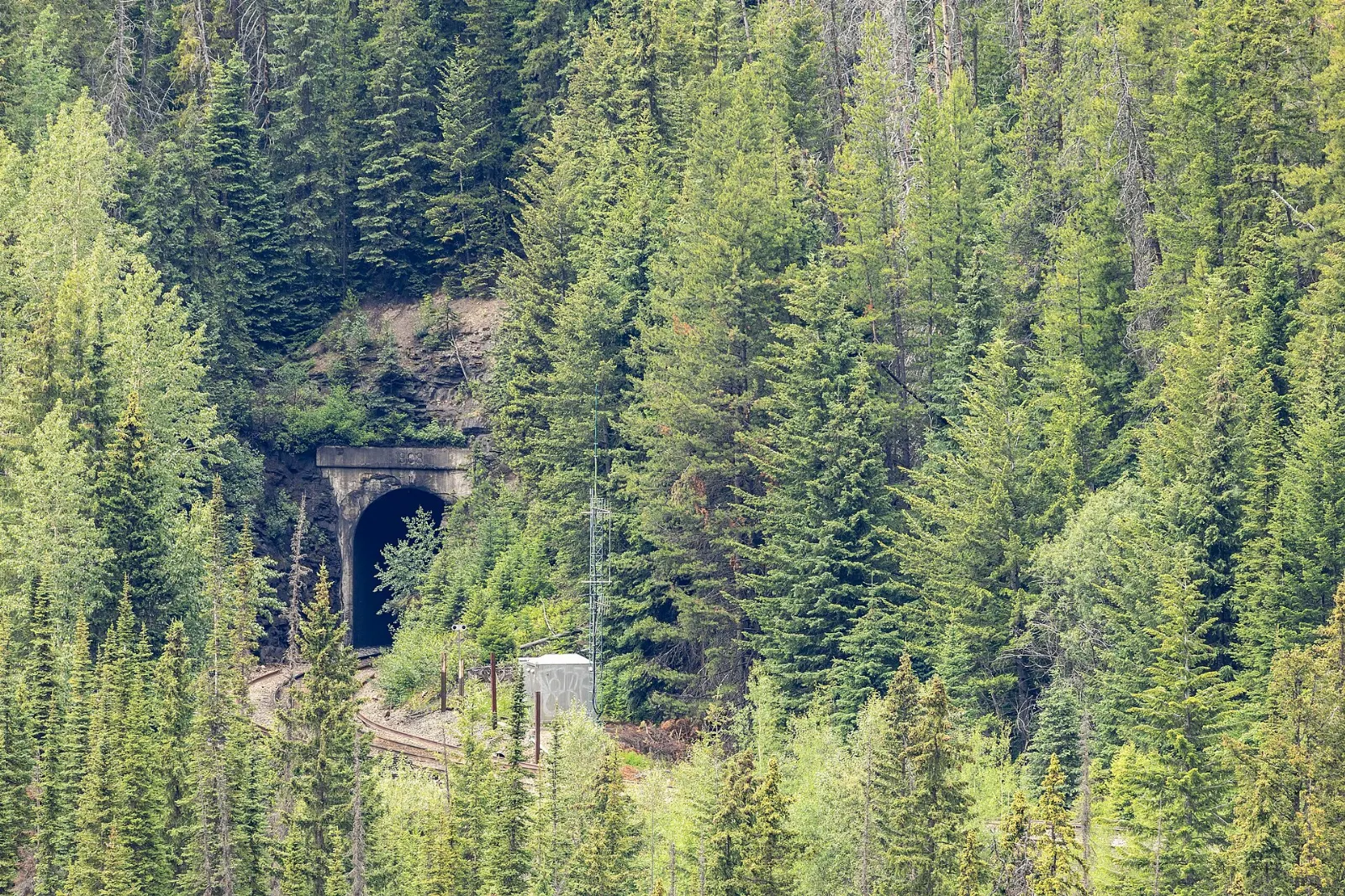 A freight train near the Spiral Tunnels in the Kicking Horse valley, Yoho National Park, British Columbia