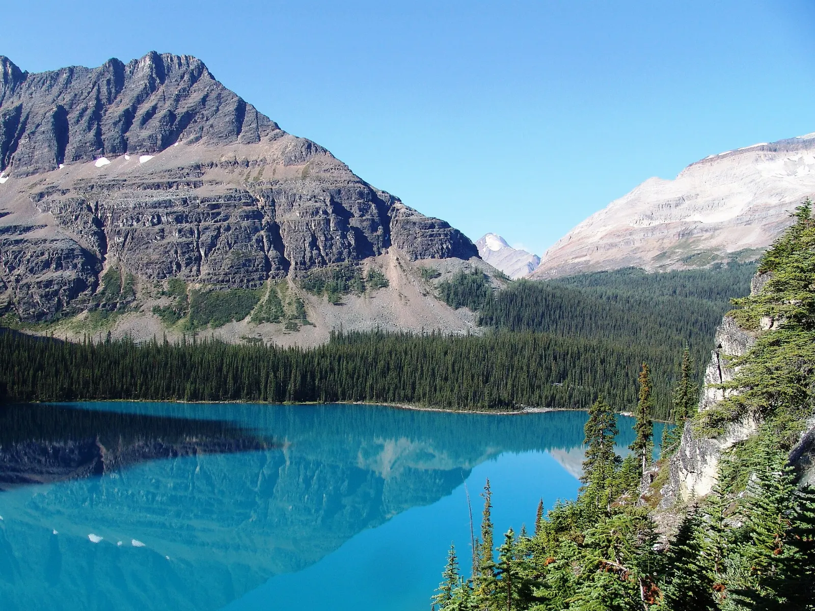 Alpine Lake O'Hara surrounded by peaks, Yoho National Park, British Columbia