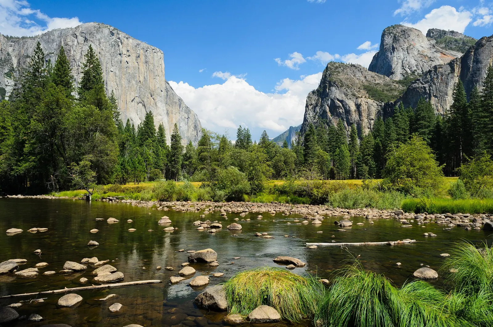 Sheer granite face of El Capitan rising above the Merced River meadows, Yosemite National Park, California