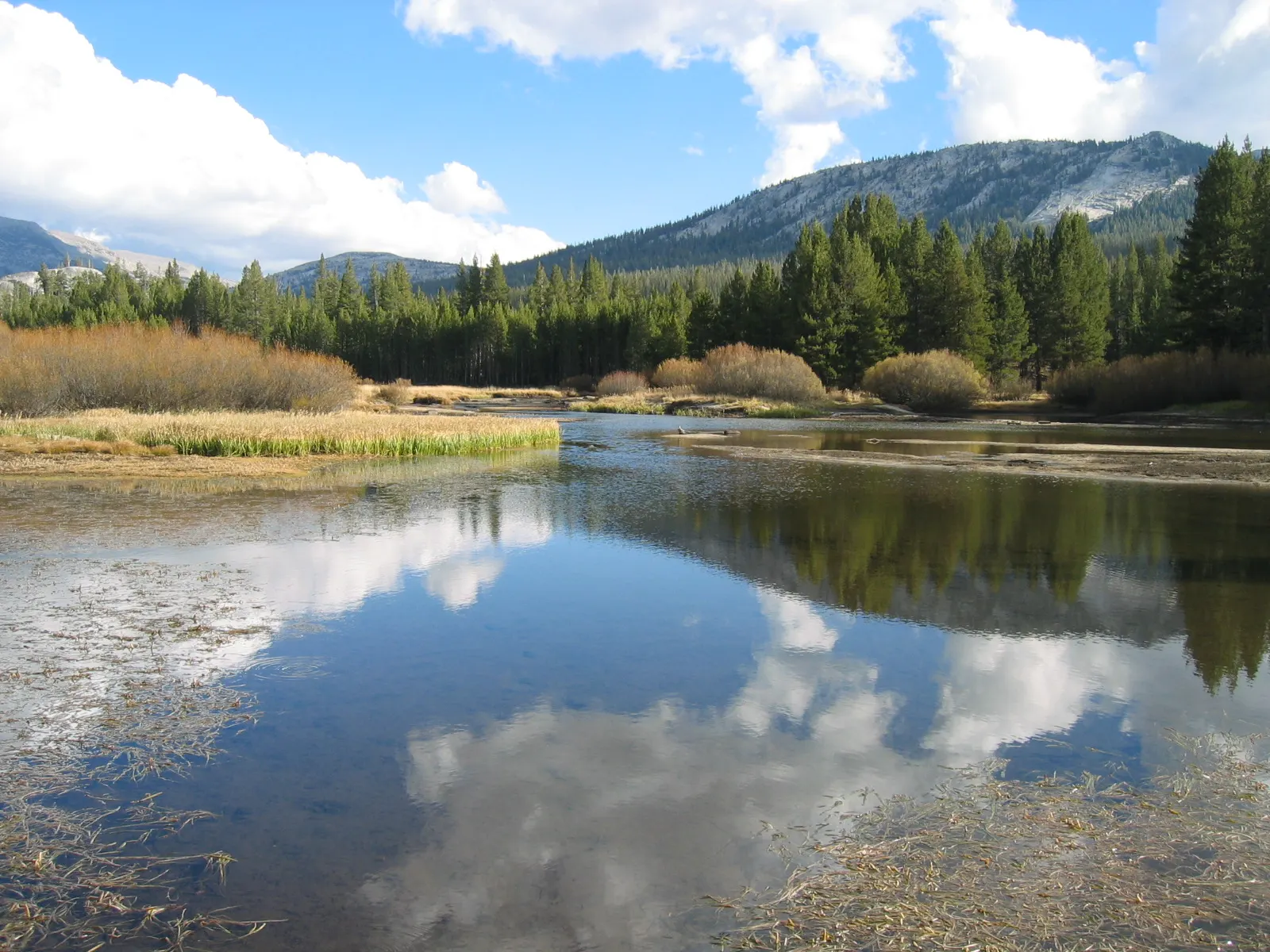 Wide subalpine meadow with the Tuolumne River and granite domes, Yosemite National Park, California